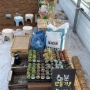 모래들푸드 이미지