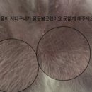 반야시스터 이미지