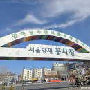 한국의 시장/양재동 꽃시장 이미지