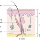 정헤어마스터