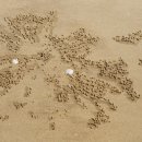 이로운바다 이미지