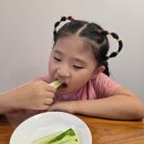 나리유치원 | [대구 유치원/달서구 유치원] 대구 문화 유치원 나리난초반❤️#63.쑥쑥 자란 오이🥒