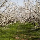 고루(古壘) 이미지