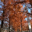 씨엔씨티에너지노동조합 | 대전하나시티즌 vs 강원FC, 마지막 홈경기 직관, 낮경기 E석, 눈을 떠라 심판