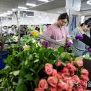 꽃내음가득 이미지