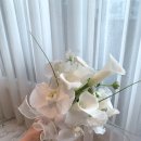 마리드엘 웨딩 이미지