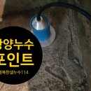 담안2 이미지