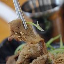 고창면옥 고창본점 이미지