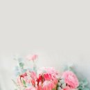 수영세무서 이미지