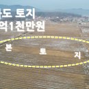 강화도 주말농장 토지748평 급매1억1,000만원 이미지