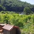 벌곡(대전) 이미지