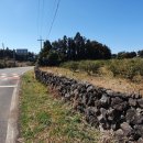 한마음초등학교 병설유치원 이미지