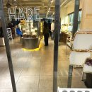 유성농업협동조합 | 대전 빵지순례_하레하레 유성점(대전 빵집 맛집) 추천 후기