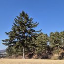 무령왕릉 이미지