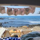 욜로올레제주 이미지