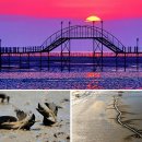 대교 태양광발전소 이미지