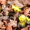 홍릉숲 이미지