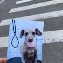 모리펫샵 이미지