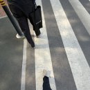 유진세탁소 | 2605
