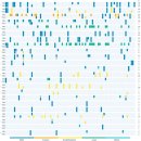 트니트니 C (33~48개월) | [논문 소개] 담도암에서의 바이오마커 검사 현황과 임상적 함의