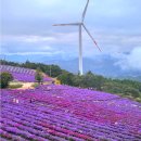 바람언덕 이미지