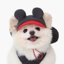 이츠독 이미지