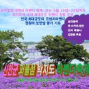 제34차 청뫼산악회 전남 신안 박지도 퍼플섬 트레킹 이미지