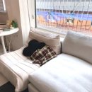 성동노래연습장 | 성수역 유제사진관 증명사진 여권사진 내돈내산 후기