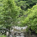 청학동별빛캠핑장
