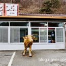 영농조합 | 순천 황천 한우 영농조합 방문 후기 – 신선한 한우를 맛보다