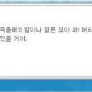 더시드