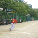 용마초등학교 이미지