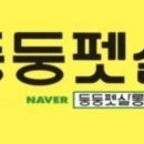 둥둥펫살롱 이미지