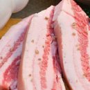 제물포애견 이미지