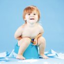 배변의기술 이미지