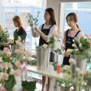 모이디자인