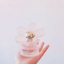 피르메 | [리뷰] 마크제이콥스향수 데이지러브/Marc Jacob's Daisy love 향수후기