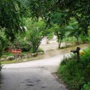 바우길 2구간 이미지