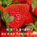 딸기 이미지