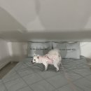 재인스가든 이미지