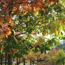 쌍용공원 화장실 이미지