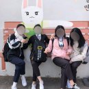 팬더리아 이미지