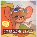 내가 만드는 숏폼(릴스) 영상 | 숏폼 콘텐츠 제작 교육 후기 성공하는 SNS계정은 뭐가 다를까?