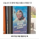 야동회관 | 11월12월 연말🎄☃️