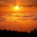 초원의 빛 이미지