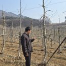 이원태농장 네이버블로그