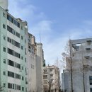 개나리 4차아파트 | 설날 연휴 맞이 작정하고 강남 아파트 임장 다녀왔어요