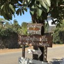 마을카페 토닥 | Ep8. 빠이 1일차: 두자매식당(Two Sister Restaurant) - 카페 디어유얼마인드(Dear Your Mind) - 스피릿...