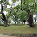 대구 달성(大邱 達城) 이미지