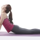 고릴라 짐 이미지